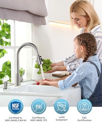 WOWOW Kitchen Faucet with Soap Dispenser, Brushed Nickel