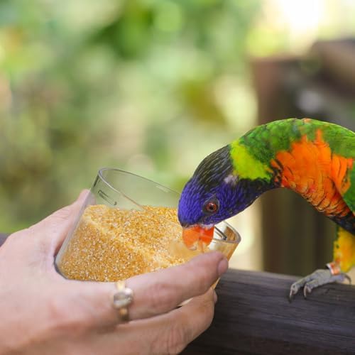 DEAYOU 2 Pack Bird Seed Storage Container, 3 Qt/2.8 L Airtight Cereal