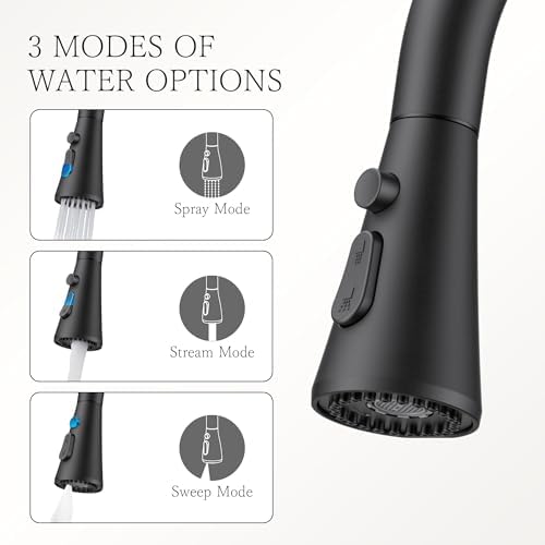 FORIOUS Black Kitchen Faucet with Pull-Down Sprayer