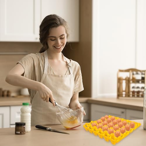 10-Pack Plastic Egg Trays, Stackable Reusable