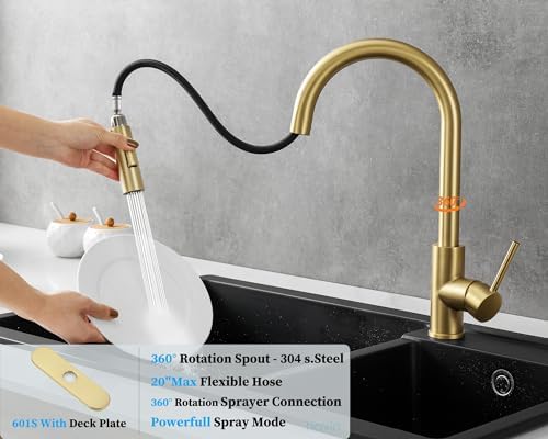 Havin Gold Kitchen Faucet with 10 inch Deck Plate