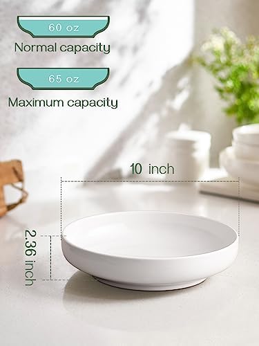 DOWAN Pasta Bowls, 65 oz Large Salad Bowls Set of 2, 10'' Serving Bowls for Wedding, Ceramic Shallow Bowl Plates, Serving Dishes for Entertaining, Microwave Dishwasher Safe
