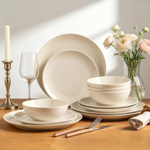 Dinnerware Sets for 4, 12 pcs Reactive Glaze Plates and Bowls Sets