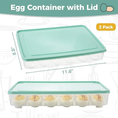 HAKSEN Deviled Egg Containers with Lid, Set of 2, 48 Holes