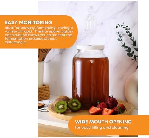 2-Pack 1 Gallon Glass Jars with Lids