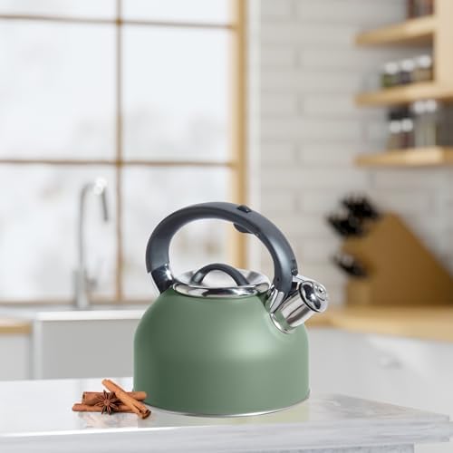 OGGI Tea Kettle for Stove Top - 64oz / 1.9lt, Stainless Steel with