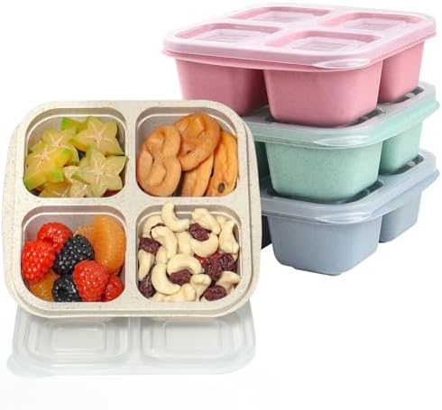 4 Pack Snack Containers, Reusable Bento Snack Box, 2-Cup Capacity