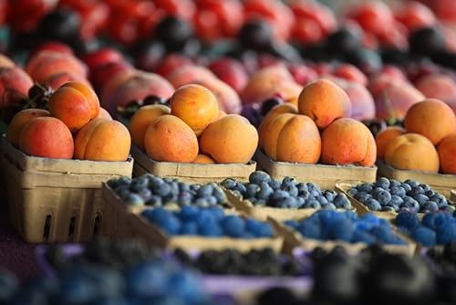 40 Pack Natural Berry Basket 1 Pint, Pulp Fiber Vented Produce