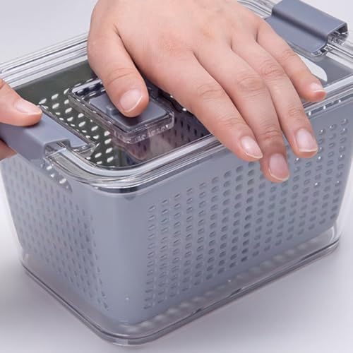 Fresh Food Storage Container Refrigerator Organizer Bin Medium Vent