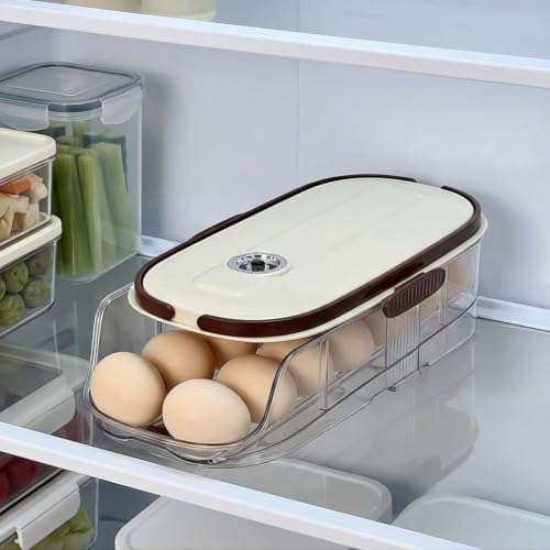 Kitchen Egg Container Egg Holder Organizer Dispenser With Transparent
