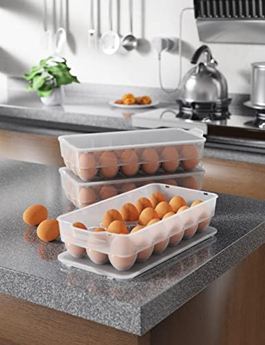 Clear Covered Egg Holder 3-Pack, Plastic Egg Storage for Refrigerator