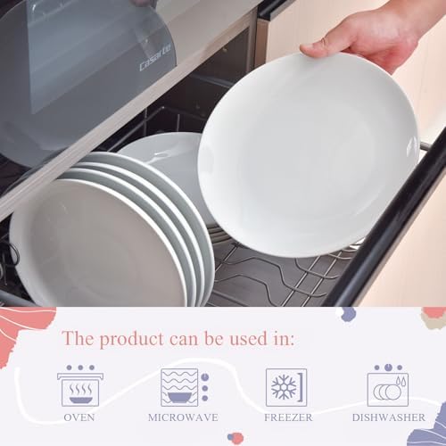 Miicol Ceramic Dinner Plates Set of 4, Large Salad Plate 10.5 inch