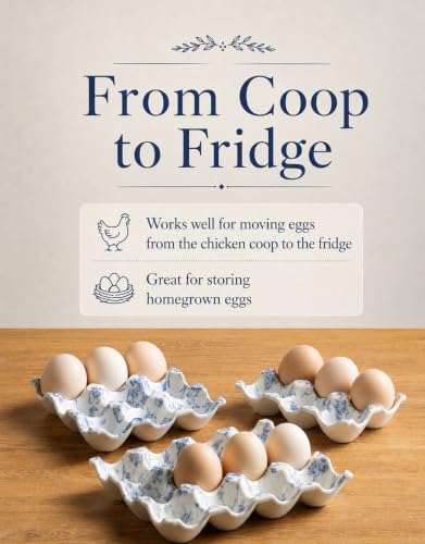 Whole Dozen Egg Tray for Fridge, Deviled Egg Holder Containers