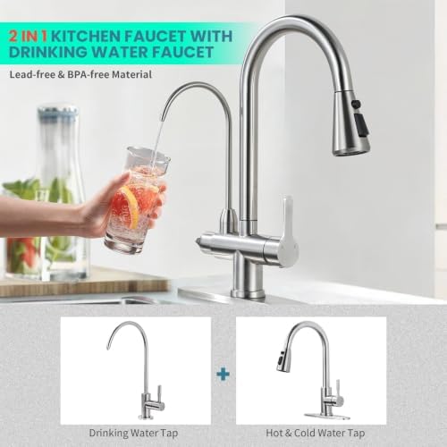 Brushed Nickel Kitchen Faucet with Water Filter