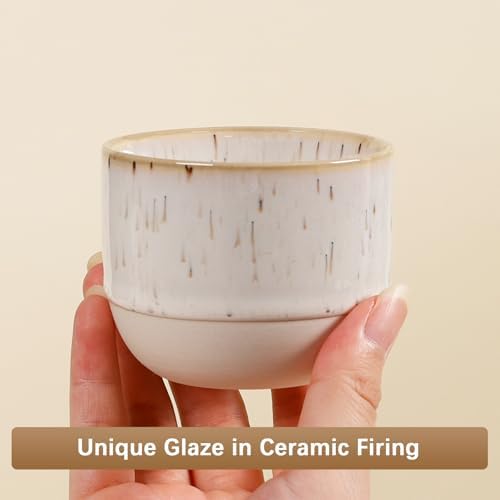 Ceramic Espresso Cups Set of 4, Double Walled Espresso Coffee Mugs for