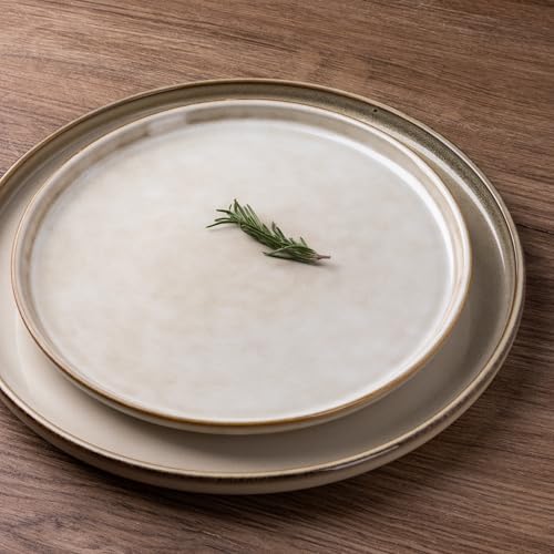 GBHOME Dinnerware Sets for 4, 12 Pieces Ceramic Plates and Bowls Set