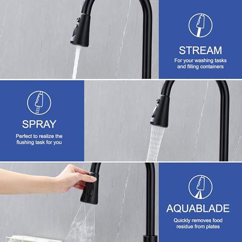 Matte Black Single Handle Kitchen Faucet with Cup Washer