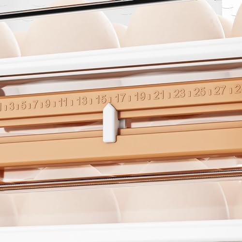 JOYZAN Egg Holder for Fridge 60 Count Large Capactity Egg Storage