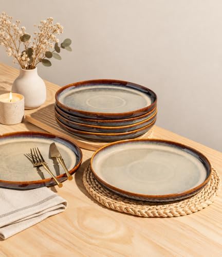 theterra Ceramic Dinner Plates Set of 6, 10.25 Inch Dinnerware Plates