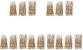 GANAZONO 15 Pcs Miniature Sushi Fence Plates Bamboo Style for