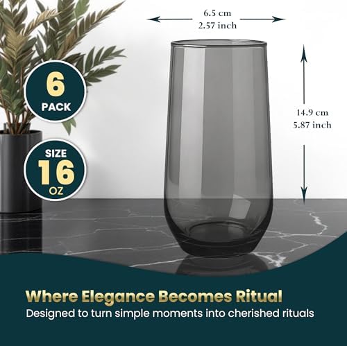 Grey Drinking Glasses Set of 6 | Translucent Black Glassware | 16 oz