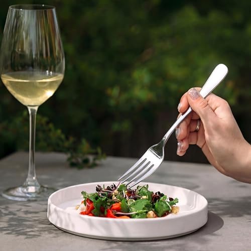 LIANYU 20 Piece Silverware Flatware Set, Stainless Steel Cutlery Set