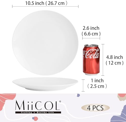 Miicol Ceramic Dinner Plates Set of 4, Large Salad Plate 10.5 inch