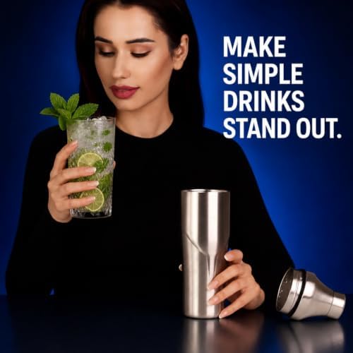 Lexenic 24oz Double Wall Vacuum Insulated Cocktail Shaker,Martini