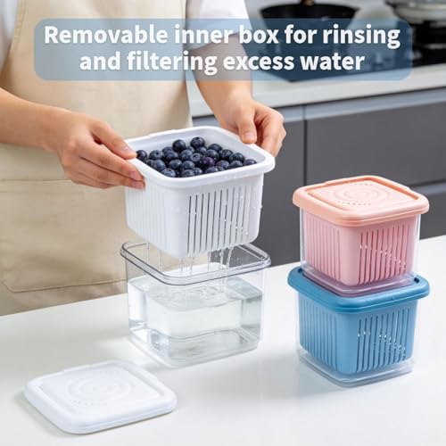 Fruit Storage Containers for Fridge, 3 pcs, Small Clear
