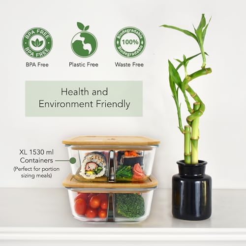 EcoPreps Large Glass Bento Box Containers with Bamboo Lids, 3