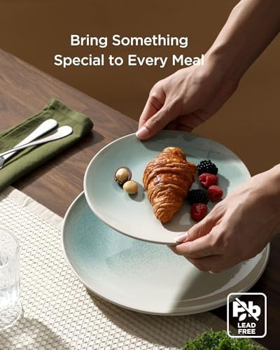 Famiware Ceramic Plates and Bowls Sets, Reactive Glaze Dinnerware Set for 8
