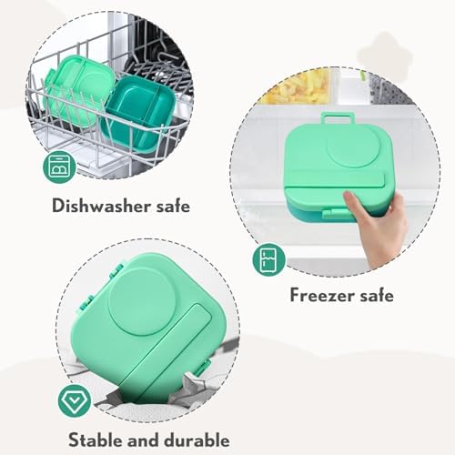 BOSEDSANG Bento Lunch Box with 12oz Soup Thermo,4 Compartments Lunch
