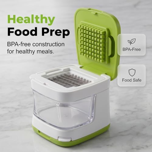 Mini Garlic Chopper and Press with Container (1 Pcs)