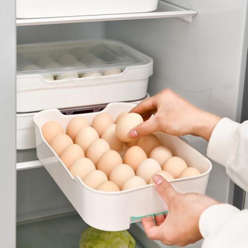 Plastic Egg Storage Box with Lid, Drawer Style Refrigerator Tray