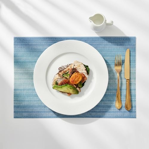 Blue Placemats Set of 4, Vinyl Woven Place Mats for Dining Table