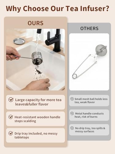 HOUSE AGAIN Tea Infuser for Loose Tea, 2-in-1 Tea Scoop Infuser Extra