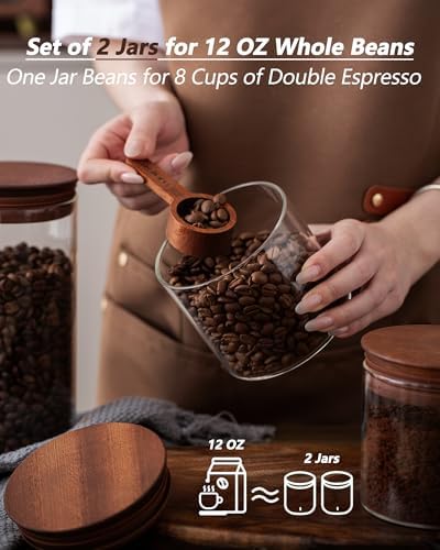 17 oz Coffee Canister with Scoop and Wooden Lids, Airtight Glass