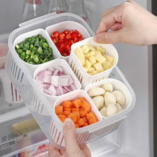 Compartment Food Storage Container PP Fridge Organizer Box with Lid