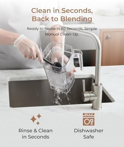 SYBO HS-210E Commercial Blender, 48oz