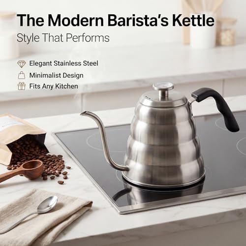 Barista Warrior 1.2L Silver Gooseneck Kettle