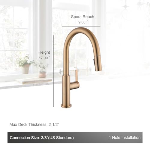 AguaStella AS31CPB Kitchen Sink Faucet, Champagne Bronze