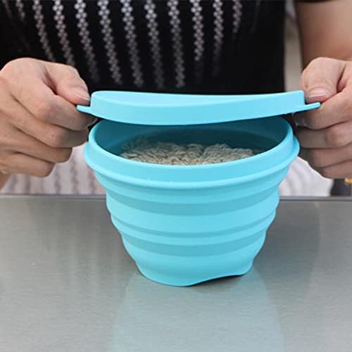 Silicone Collapsible Bowl with Lid Foldable Food Storage Bowls