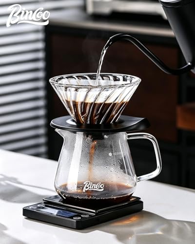 Bincoo Glass Pour Over Coffee Set, 500ML