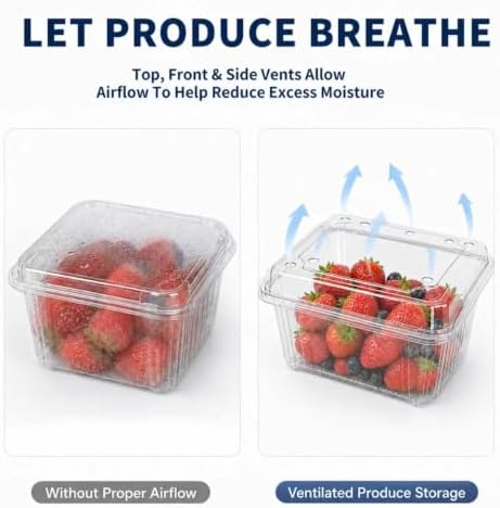 16 oz Clear Plastic Fruit Containers with Hinged Lids, Ventilated