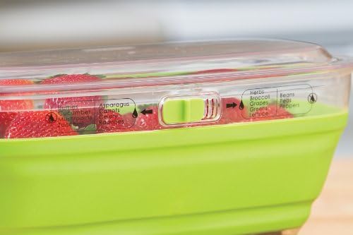 Prepworks by Progressive Collapsible Mini Produce Keeper - 2 Quart