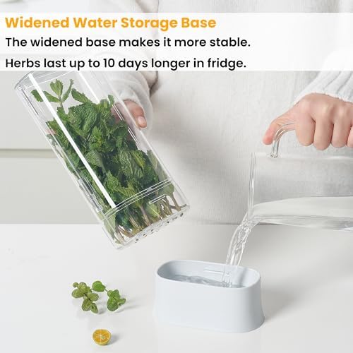 vacane Fresh Herb Keeper for Refrigerator