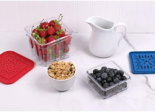 HIC Kitchen BerryFresh 1-Liter Produce Box, Red