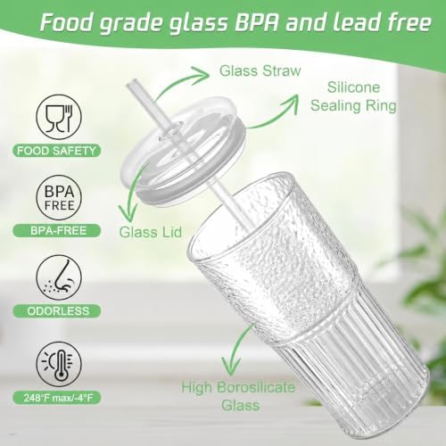 Luiaiog 20 oz Glass Cups with Lids and Straws Set of 2, Ribbed Glass
