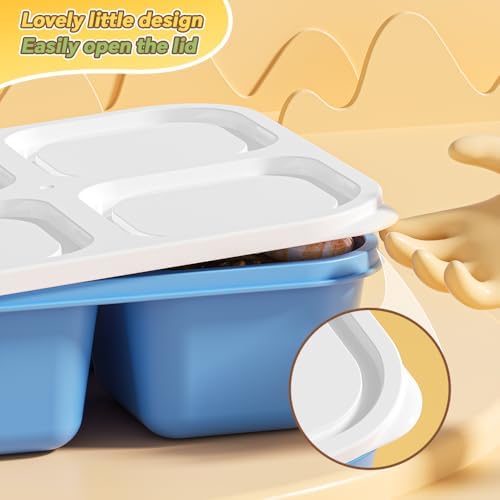 Canfanni 6 Pcs Snack Box Container Set, Reusable 3&4 Compartment Meal