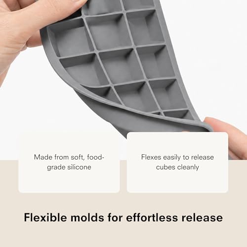 Public Goods Silicone Ice Cube Trays | Large & Small Ice Cube Mold Set